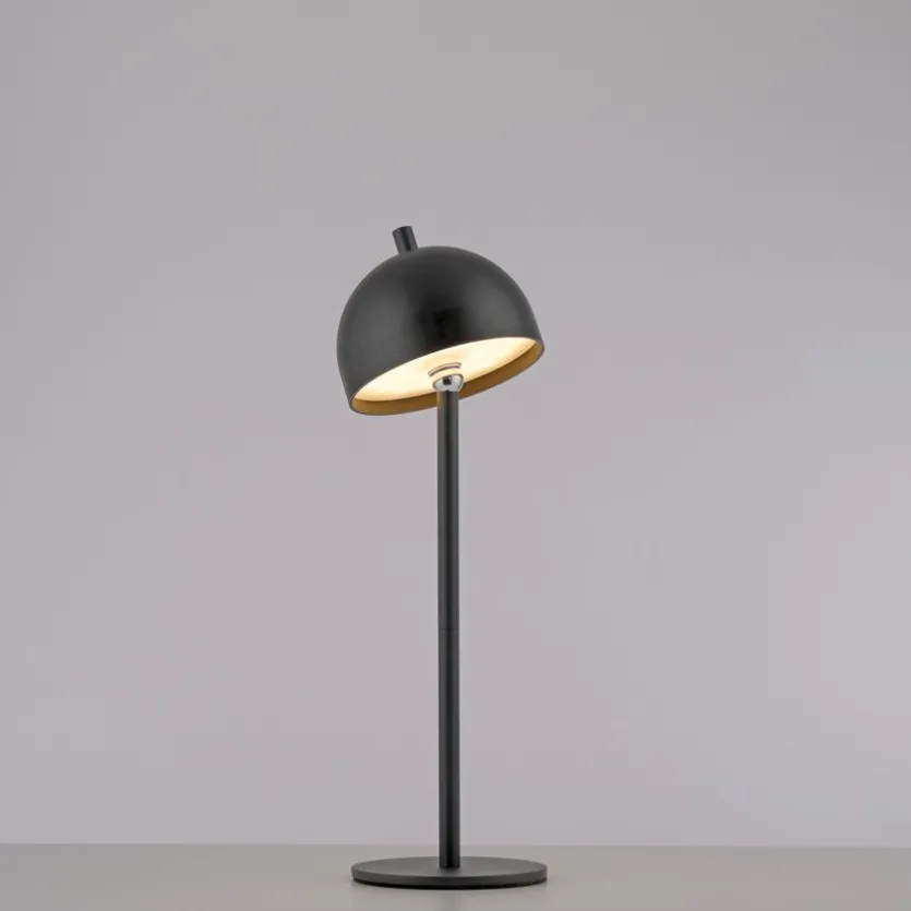 Akku-Stehlampe Bellis