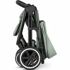 Buggy Avus Air 2 Pine