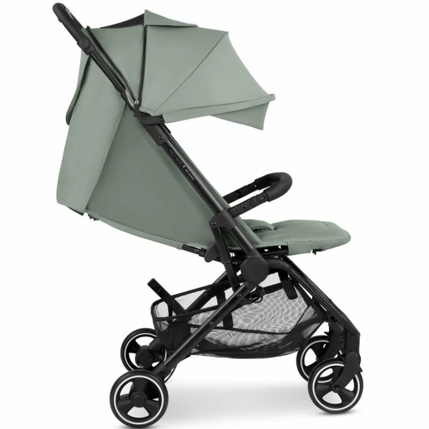 Buggy Ping 3 Travel Pine