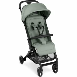 Buggy Ping 3 Travel Pine