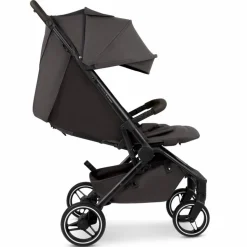 Buggy Ping 3 Trekking Falcon