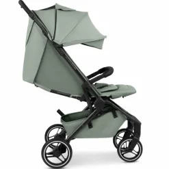 Buggy Ping 3 Trekking Pine