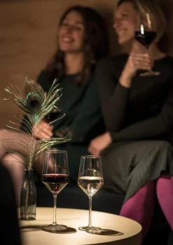 Cabernetglas Pure 540 ml
