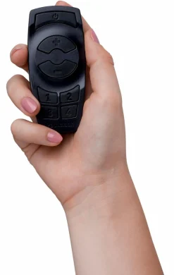 Controller mt Fernbedienung Plug & Shine