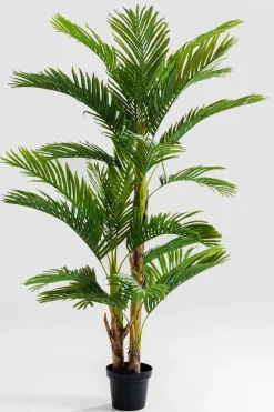 Deko Pflanze 51789 Palm Tree