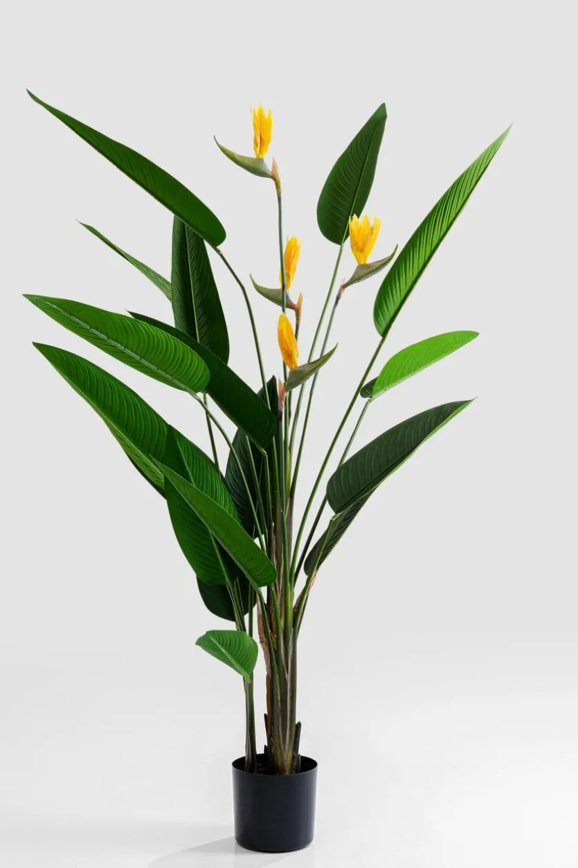 Deko Pflanze 51684 Paradise Flowers