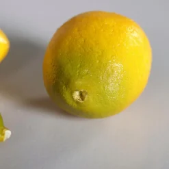 Deko-Objekt Zitronen 5tlg.