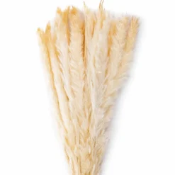 Deko-Strauß Schilfrohr 50 cm