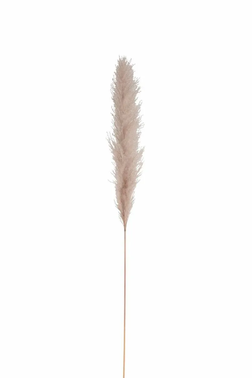Deko-Zweig Pampasgras 137 cm