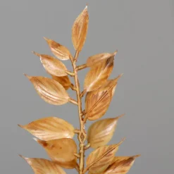 Deko-Zweig Ruscus 50 cm