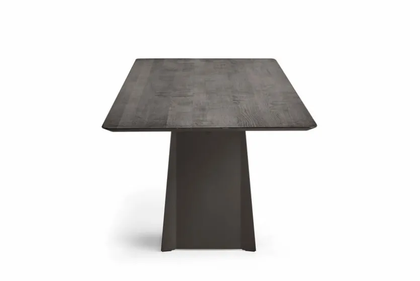 Esstisch Helmond 220 x 100cm