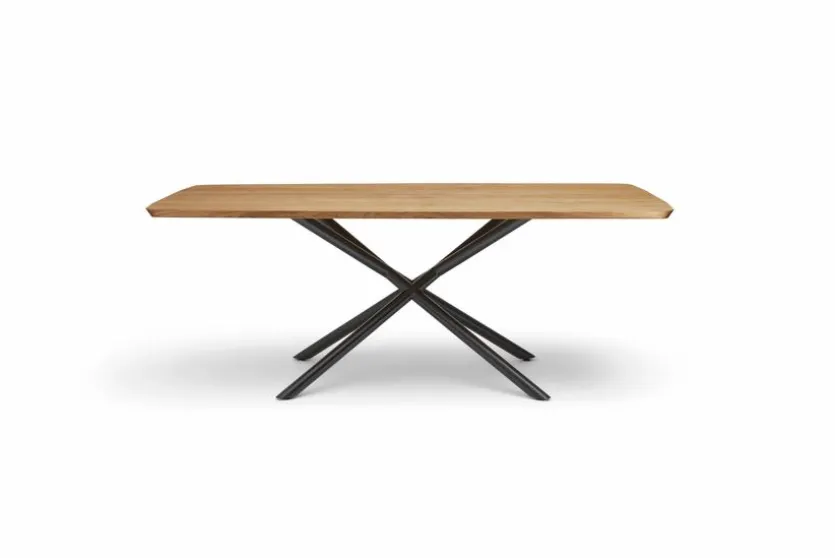 Esstisch Helmond 200 x 100 cm
