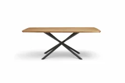 Esstisch Helmond 200 x 100 cm
