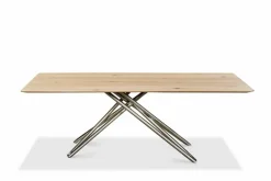 Esstisch Helmond 220 x 100 cm