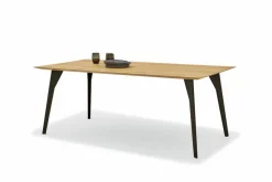 Esstisch Navarra 200 x 100 cm