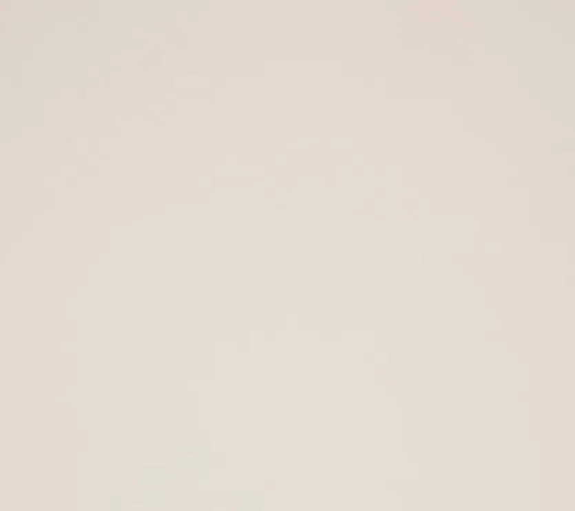 Esstisch Nealy 200 x 100 cm