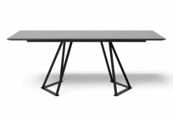 Esstisch Swing (5552) 220 x 100 cm