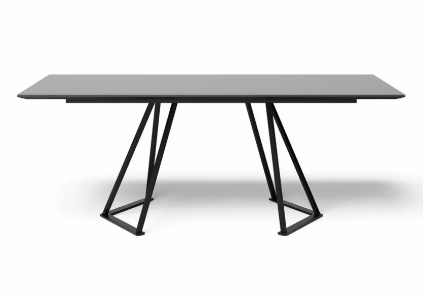 Esstisch Swing (5552) 220 x 100 cm