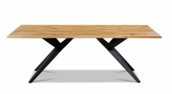 Esstisch Tamina 200 x 100 cm