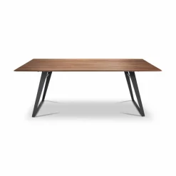 Esstisch Tavia 4883-83-080 200x100cm