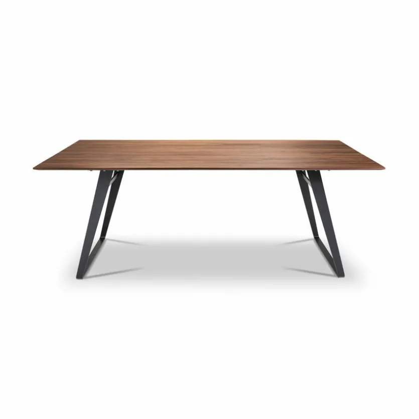 Esstisch Tavia 4883-83-080 200x100cm