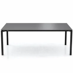 Esstisch Terra 220 x 100 cm