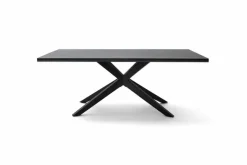 Esstisch Tiama 220 x 100 cm