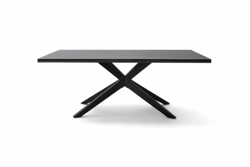 Esstisch Tiama 220 x 100 cm