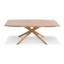 Esstisch V-Alpin 200 x 100 cm