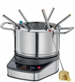 Fondue Professional