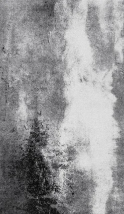 Fußmatte Aura 70 x 120 cm