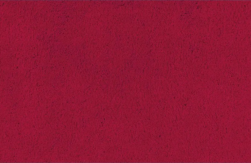 Fußmatte Regal Red 40 x 60 cm