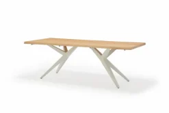 Gartentisch DĂ€nemark 220 x 95 cm