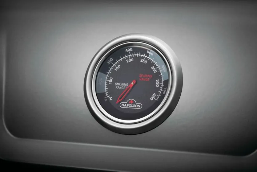 Gasgrill Freestyle 365 m. Seitenbrenn