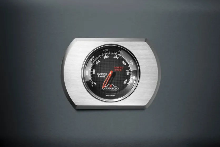 Gasgrill Aktionsset Rogue PRO425 Charcoal