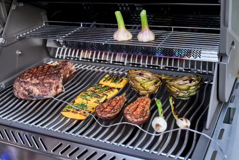 Gasgrill Prestige® 500