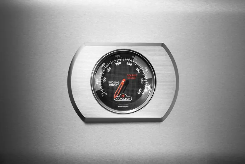 Gasgrill Rogue® PRO 425