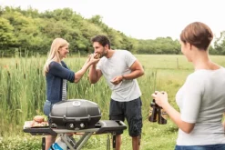 Gasgrill TravelQ™ m. klappbaren Wagen