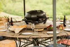 Gasgrill TRAVELQ™ PRO285
