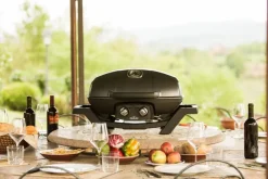 Gasgrill TRAVELQ™ PRO285