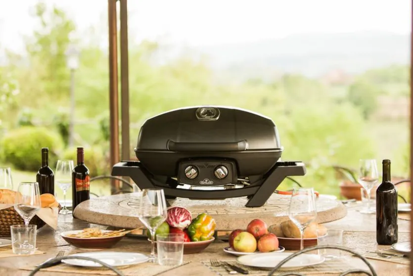 Gasgrill TRAVELQ™ PRO285