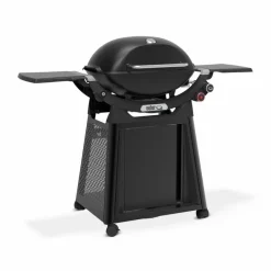 Gasgrill Weber-Q