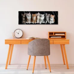 Glasbild 33 x 98 cm Cats