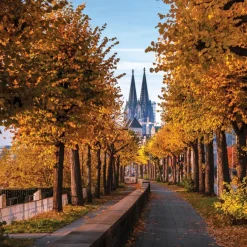 Glasbild 30 x 30 cm Kölner Dom IX