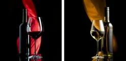 Glasbild 20 x 40 cm Wine I 2tlg.