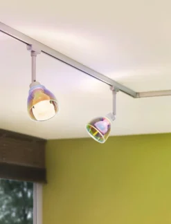 Glasschirm Deco Systems Wolbi