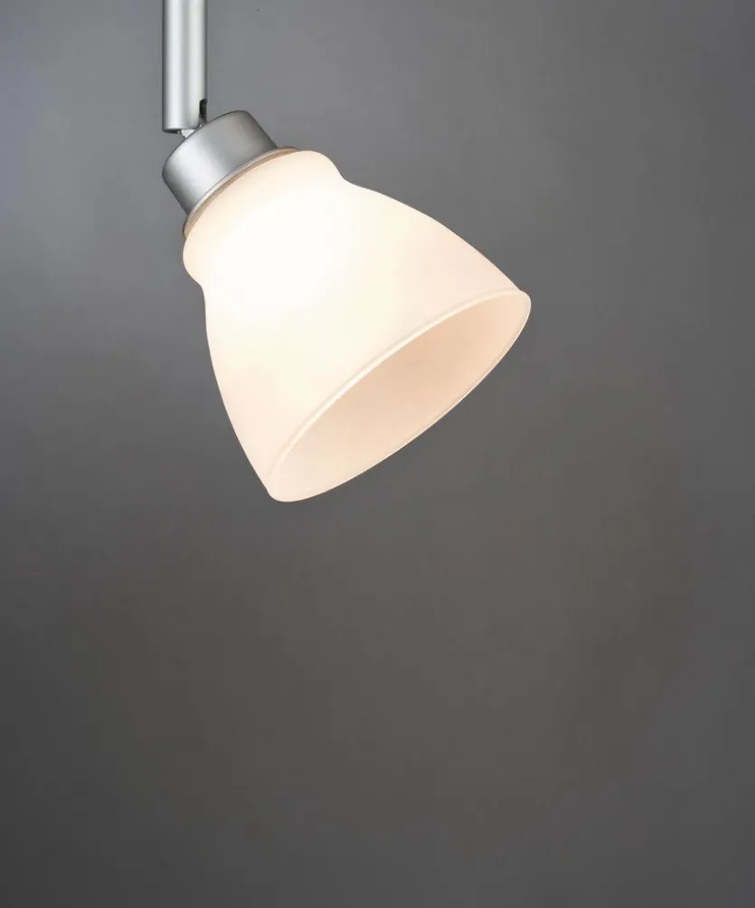 Glasschirm Deco Systems Wolbi