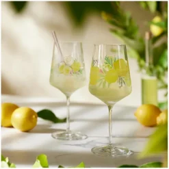 Gläserset - Aperitif Sommertau 2tlg.