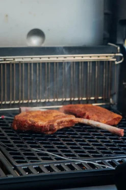 Grillrost Sear Grate