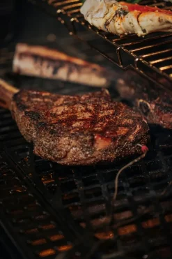 Grillrost Sear Grate